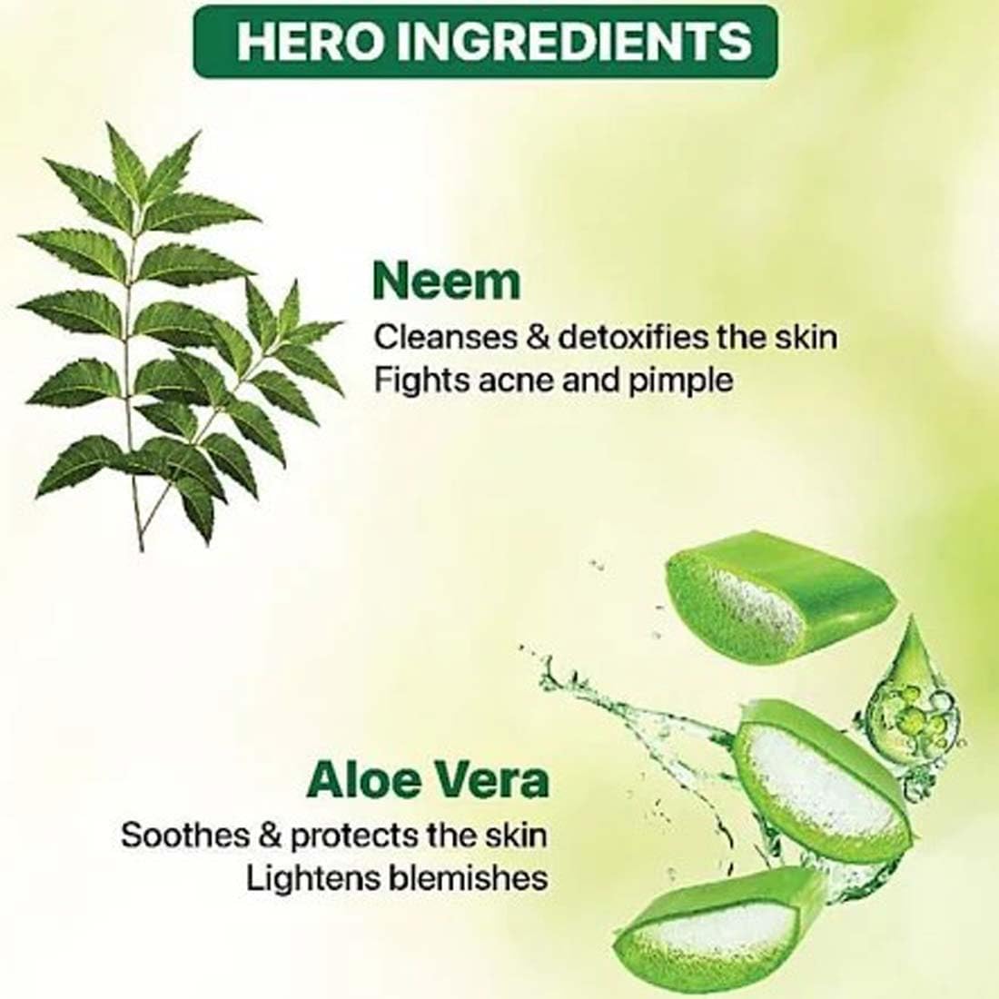 Nature's Essence Neem and Aloe Vera Face Wash